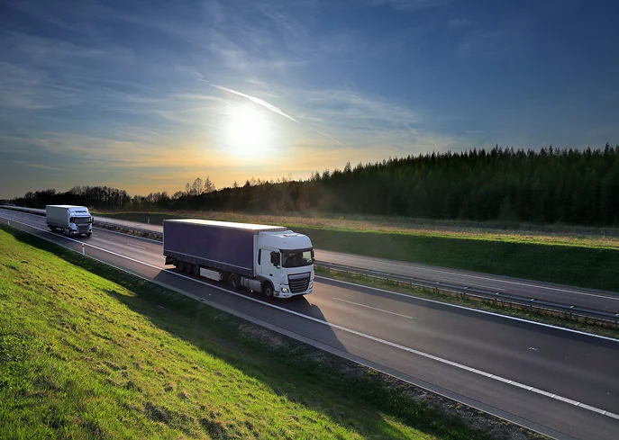 Road transport